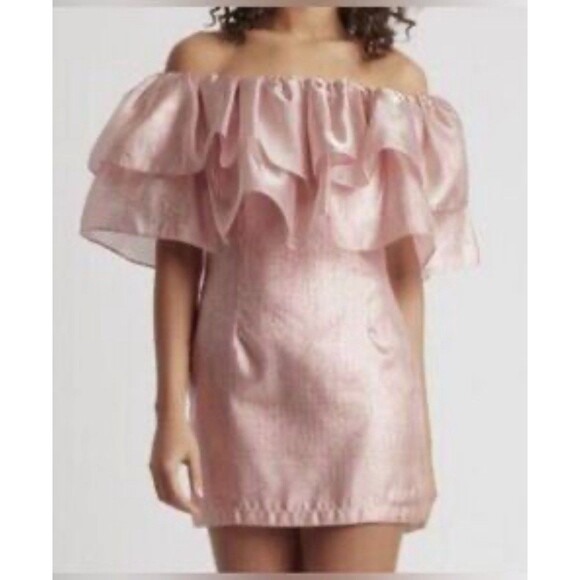 NWT Choosy Copper Rose Organza Dress - NWT Pink Shimmer - Size XS - Picture 1 of 8